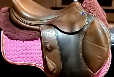 Southern Stars Eventing Saddle .
