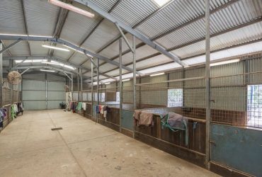 Agistment with Indoor Arena and Full Board $180 per week in Perth Hills