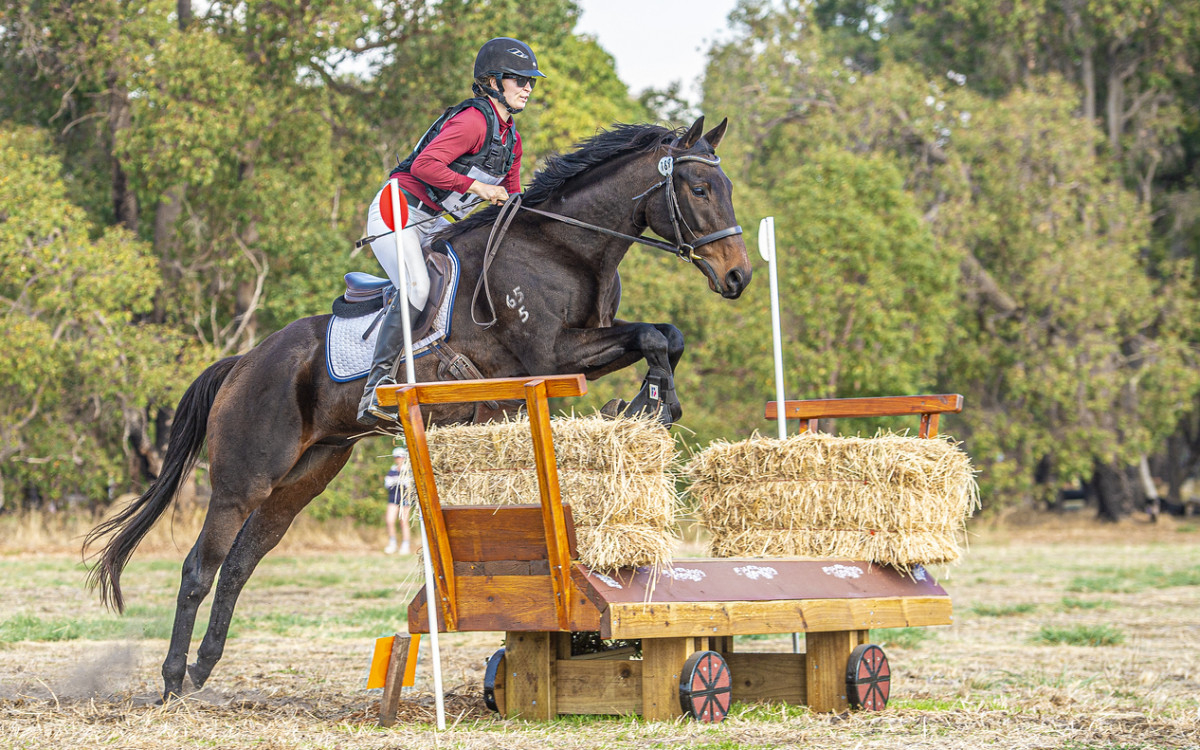 Hotham Valley – 6yr old Event Horse