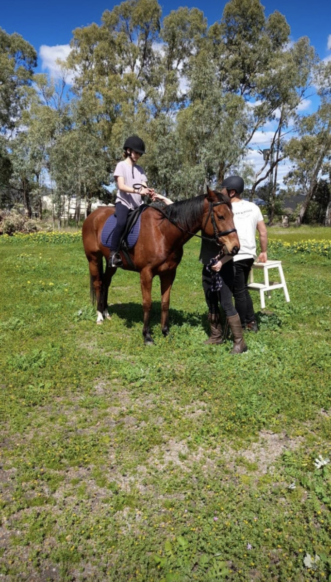 15.2 Thoroughbred Gelding for part lease on property
