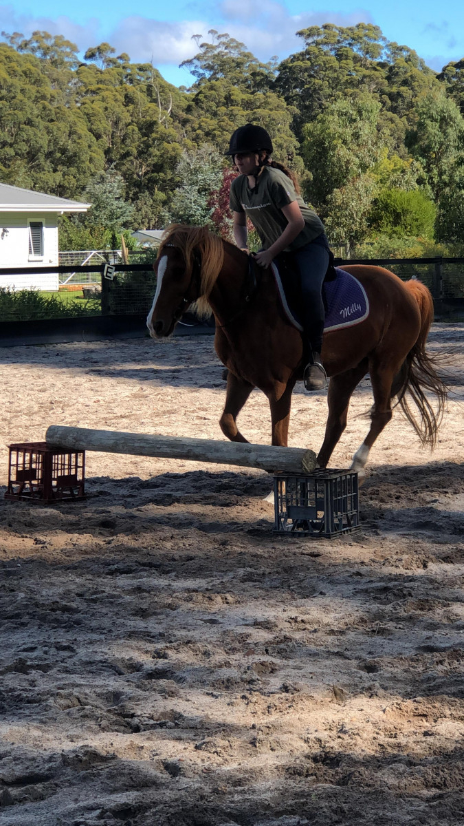 12 Year Old, Confident Rider Wanting a Forever Best Friend!