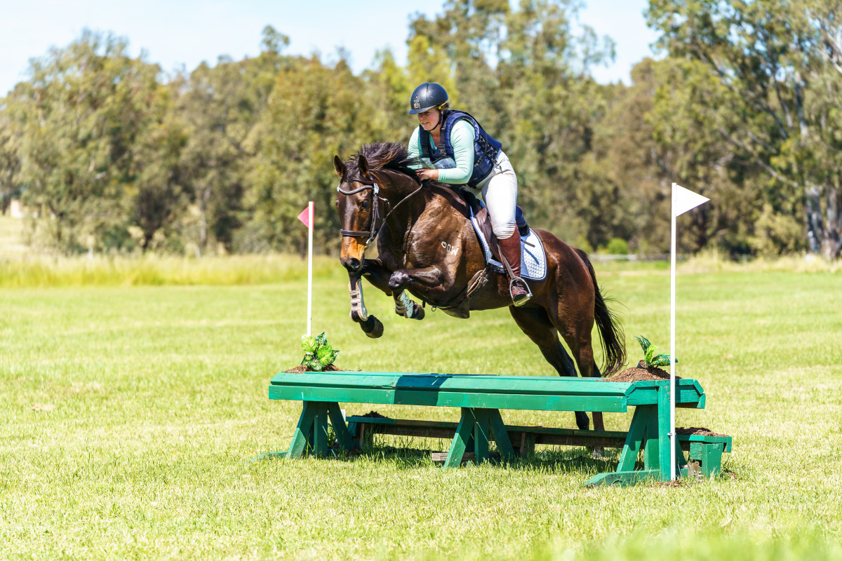 Hotham Valley – 6yr old Event Horse
