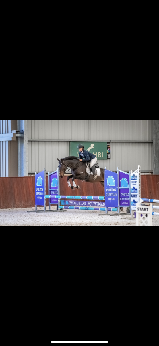 God’s Land – 6yr Old Event Horse