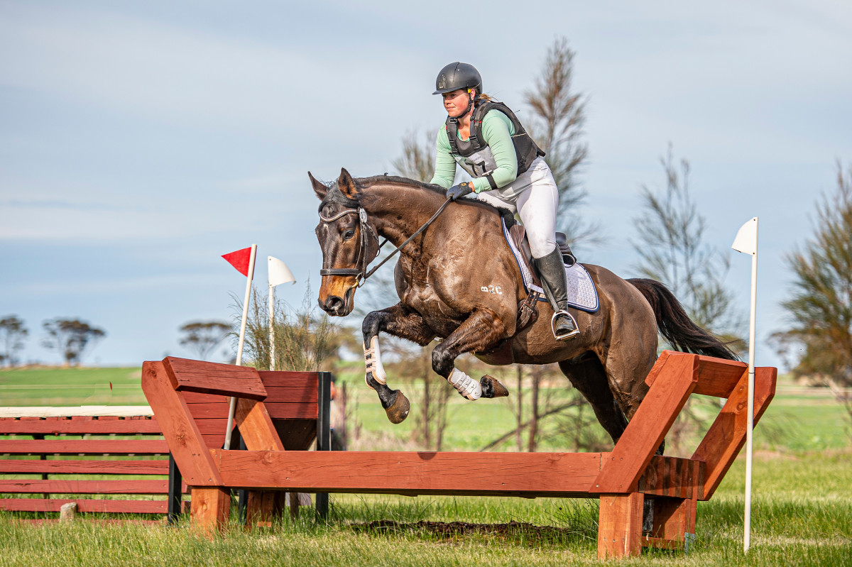 God’s Land – 6yr Old Event Horse