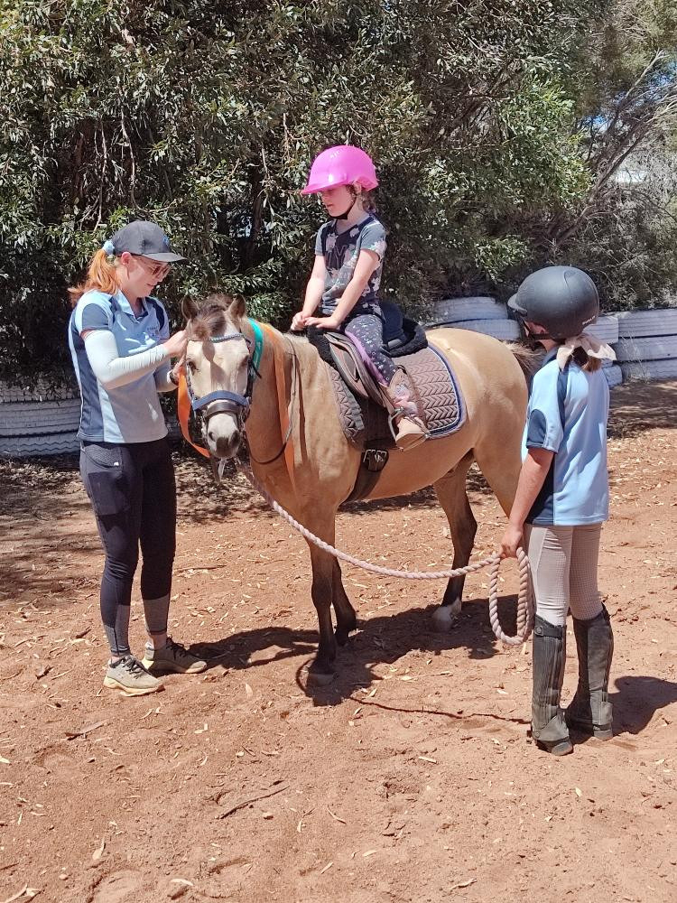 Childs Allrounder Australian Pony