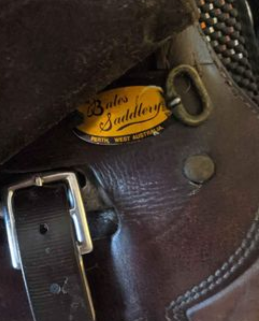 Bates 16.5 inch saddle & pony bridle