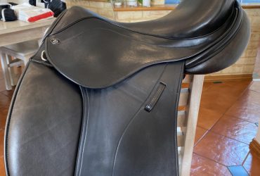 Discovery saddle from England