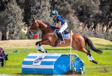 Competitive – Lovely Type OTT