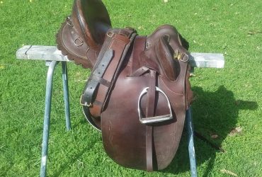 Stock saddle Syd Hill Station Poley, leather breastplate, girth surcingle