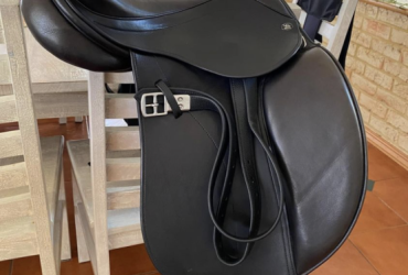 Discovery saddle need sold