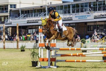 Once in a lifetime Showjumping pony