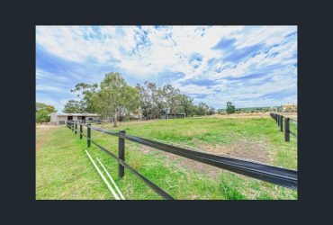 Nouveau Park – Agistment in the Heart of the Swan Valley