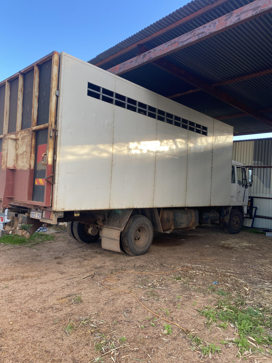 1992 Mitsubishi 5 Bay horse truck Cavalletti Equine Marketplace