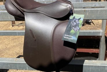 Brand new Passier young stars dressage saddle. 15.5 inch