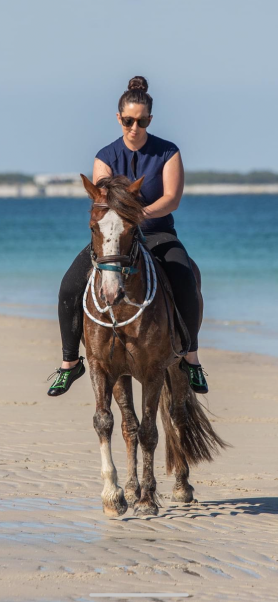 Stunning Welsh Cob gelding with a big future Cavalletti Equine