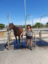 Lovely small mare 4 sale or lease