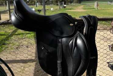 Jeffries Liberty Jump Saddle