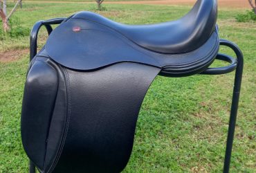 BRAND NEW Strada Dressage Saddle