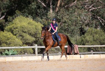 Timtam Keeper – Safe Allrounder