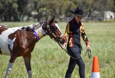 Future all rounder seeks new best friend