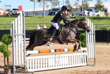 Showjumping Pocket Rocket