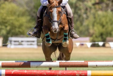 Super Showjump Pony