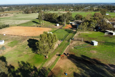 Quality Agistment in the Swan Valley