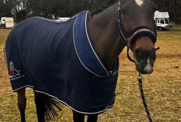 Experienced OTTB