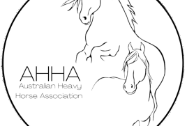ahhawasecretary@gmail.com