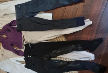 Women’s size 6 breeches