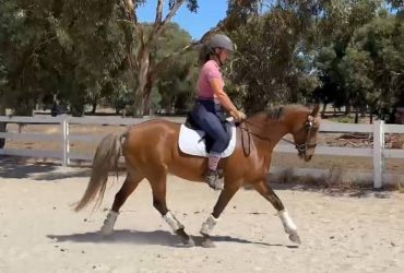 Super Fun Welsh x Mare