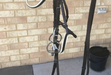 English leather Bridle