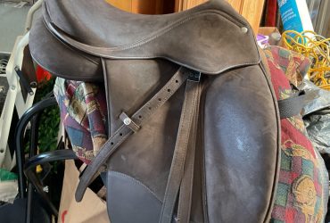 Wintec Isabel Werth in great condition