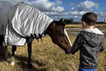 Thoroughbred Mare