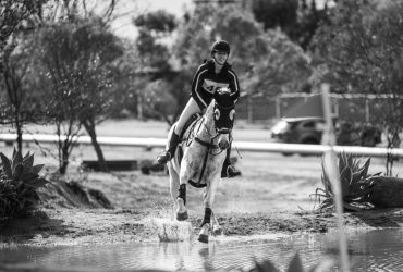 Talented Thoroughbred Mare
