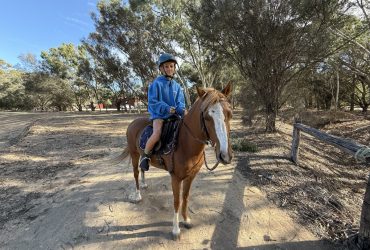 Welsh Riding A