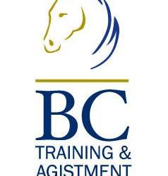BC Horse Training – 20yrs as Professionals in the WA Horse Industry
