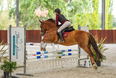 Gorgeous All Rounder – Welsh