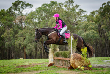 Easy going competitive allrounder