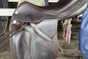 Prestige passion k dressage