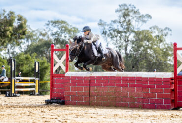 Juniors Competitive Mount