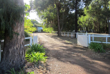 Rosewood Farm Agistment