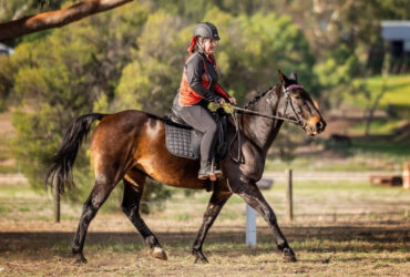 Stable hand job wanted