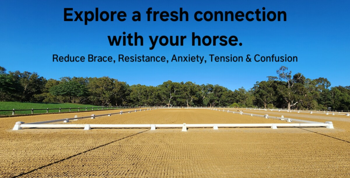 Explore a fresh connection with your horse.