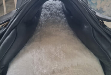 Platinum Junior Dressage Saddle 16.5