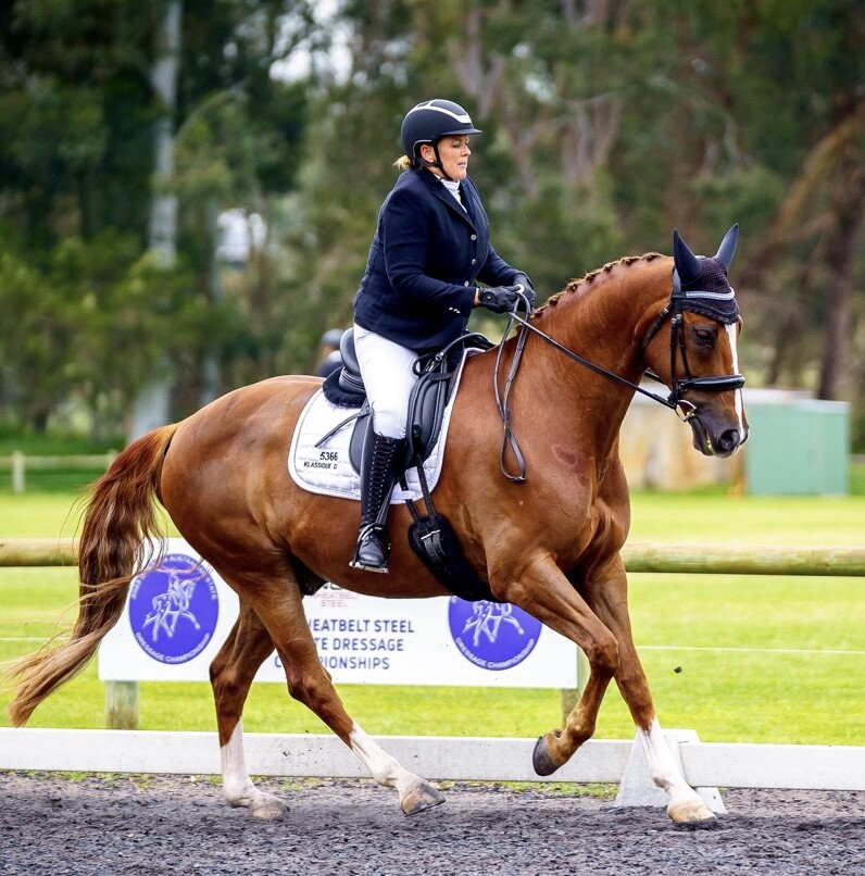 Magnificent Chestnut Dream Horse.