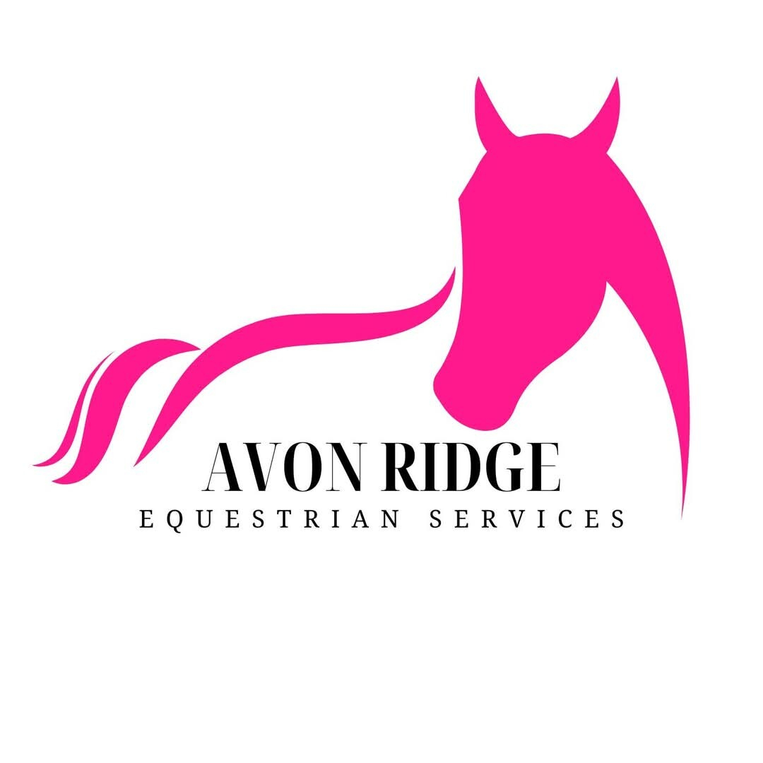 Explore a fresh connection with your horse.