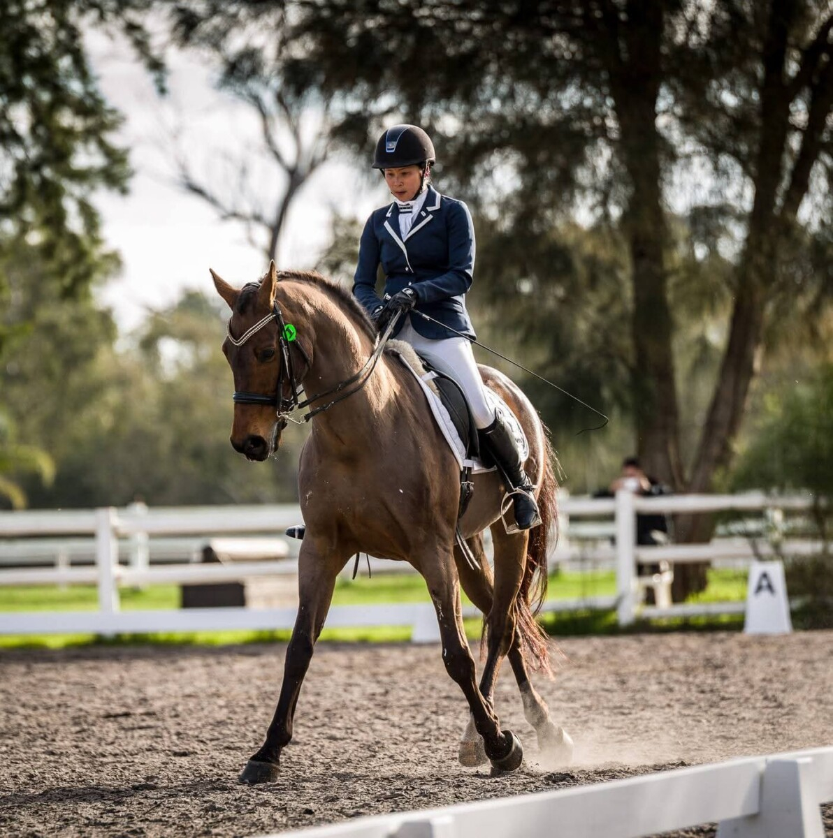 Explore a fresh connection with your horse.