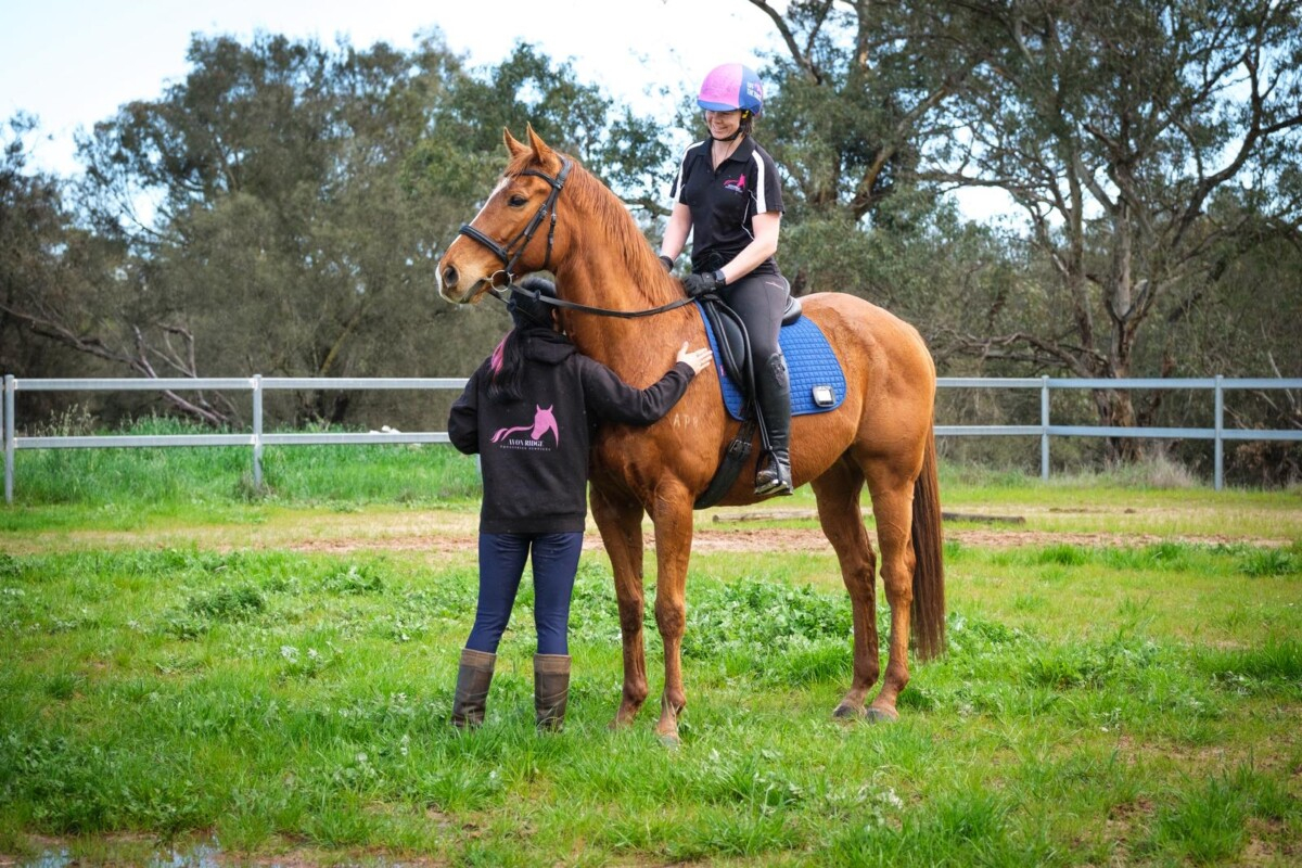 Explore a fresh connection with your horse.