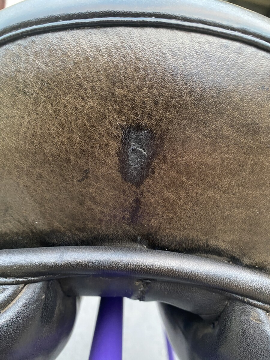 Riviera Monaco Dressage Saddle